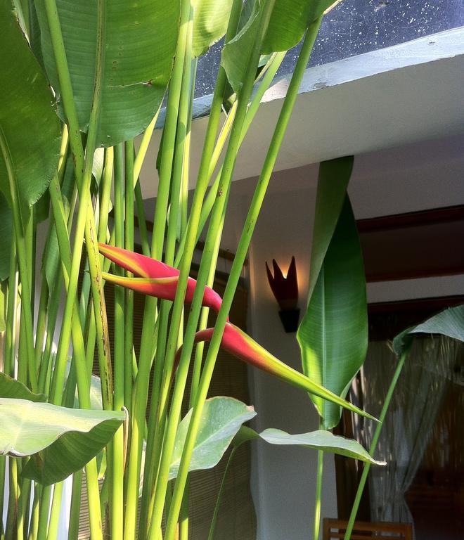 Rumah Cahaya Gili Trawangan Pokój zdjęcie